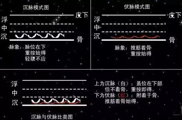 脉学之宗的医师是谁(把脉入门必背口诀)