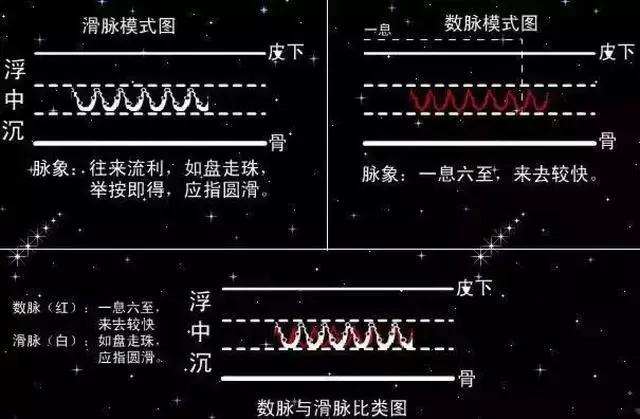 脉学之宗的医师是谁(把脉入门必背口诀)