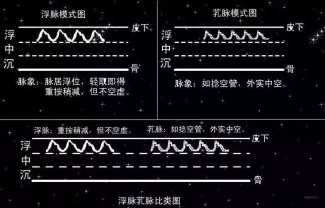 脉学之宗的医师是谁(把脉入门必背口诀)