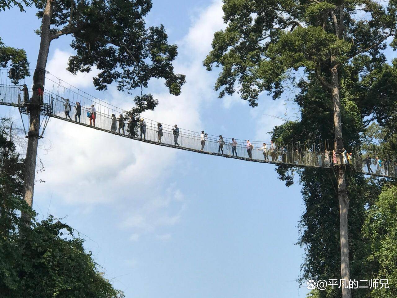 上天梯旅游景点在哪(张家界十个网红必去的打卡点)