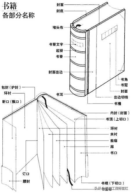 扉页是指哪一页(书的各部分名称叫法)