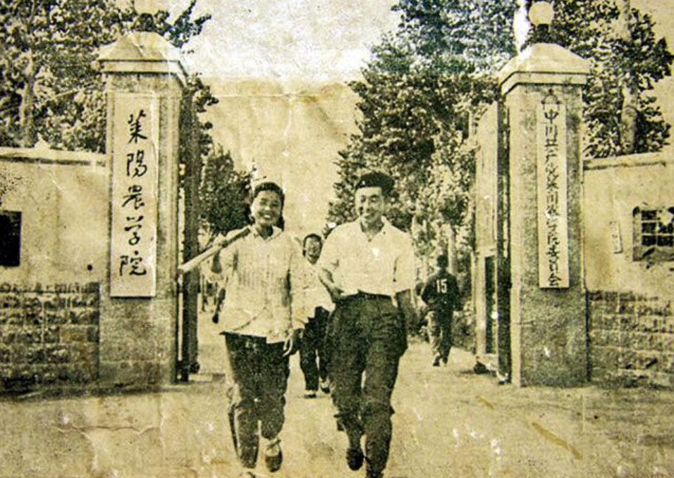 山东莱阳农学院怎么样(莱阳农学院为何搬走了)