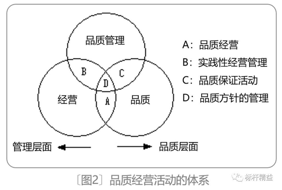 qm是什么意思(企业经营和品质经营介绍)