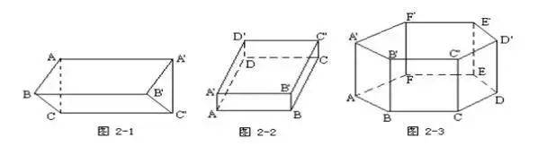 圆柱母线在什么地方(高中数学立体几何考点)