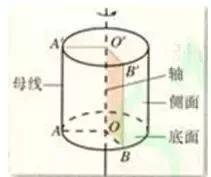 圆柱母线在什么地方(高中数学立体几何考点)