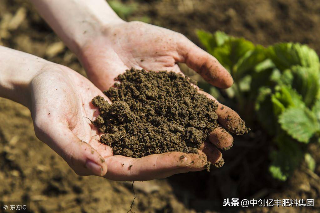 土壤的用途有哪些(土壤的功能有什么)