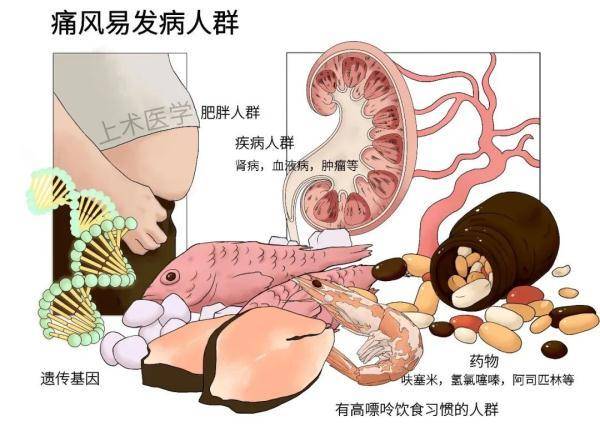 血压多少正常范围内(40岁一50岁正常血压是多少)