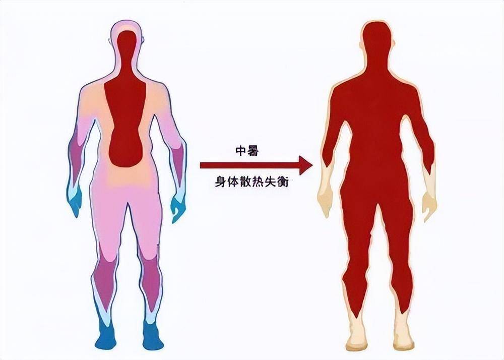 人的体温多少度正常(腋下37.5度算发烧吗)