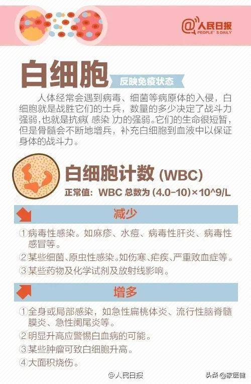 中性粒细胞偏高是什么意思(中性粒细胞大于70严重吗)