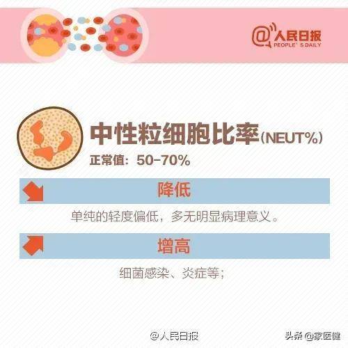 中性粒细胞偏高是什么意思(中性粒细胞大于70严重吗)