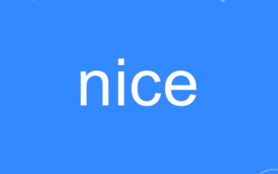 nice是什么中文意思(nice的三种意思)