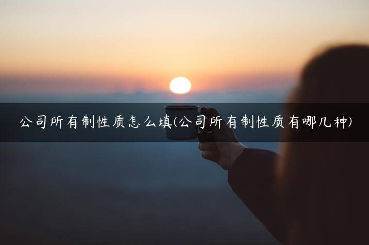 公司所有制性质怎么填(公司所有制性质有哪几种)