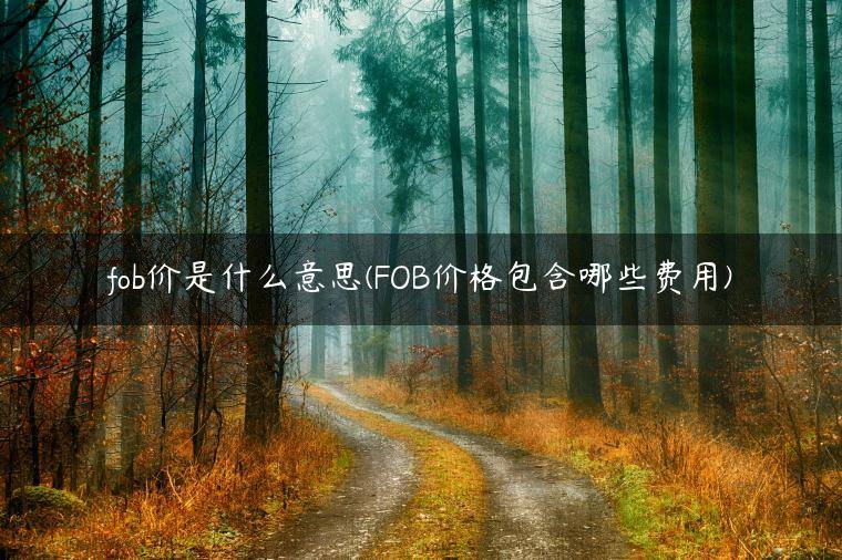 fob价是什么意思(FOB价格包含哪些费用)