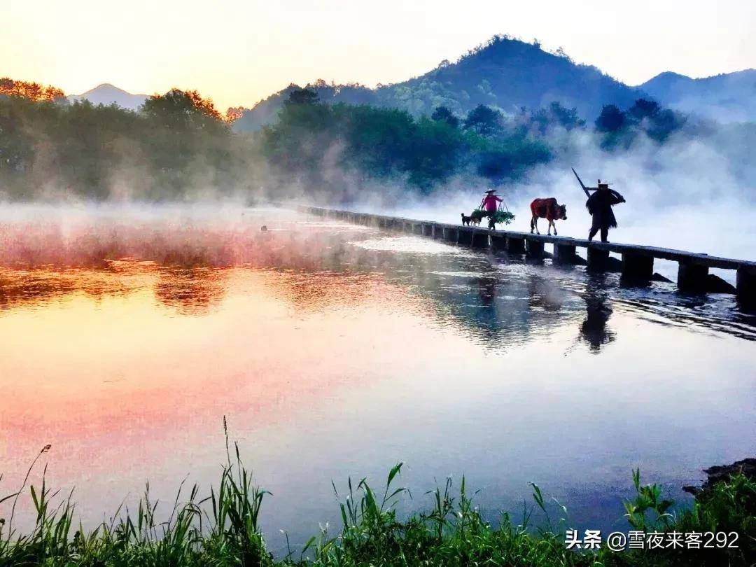 画龙点睛是什么生肖(盘点成语里的十二生肖)