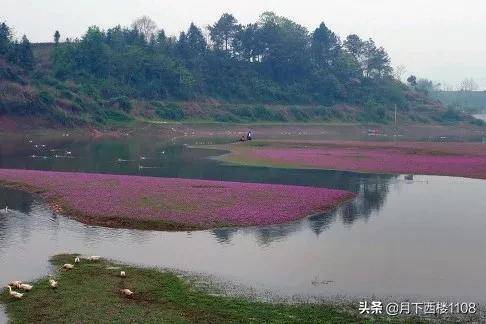 湖南省龙山县属于哪个市(湖南省龙山县属于吉首市吗)