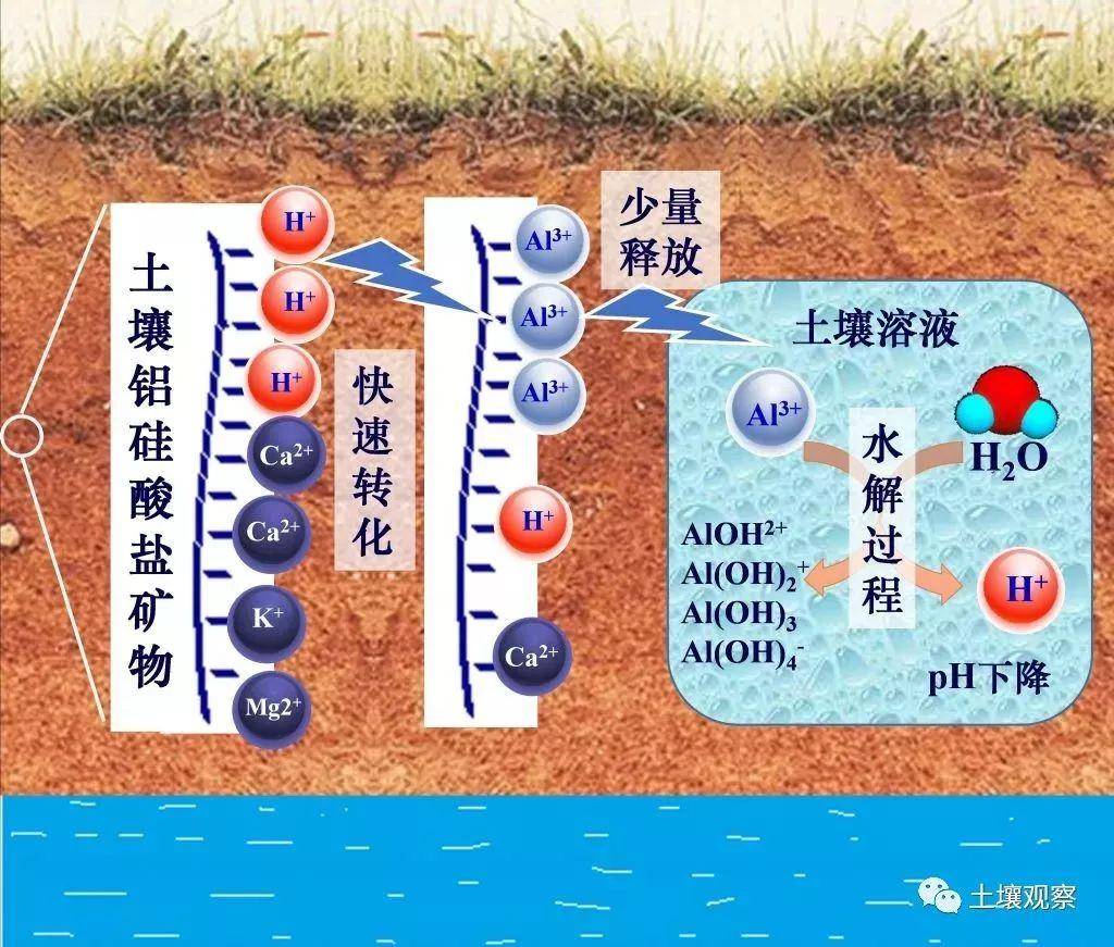 lewis酸碱怎么判断(土壤酸化的几个冷知识)