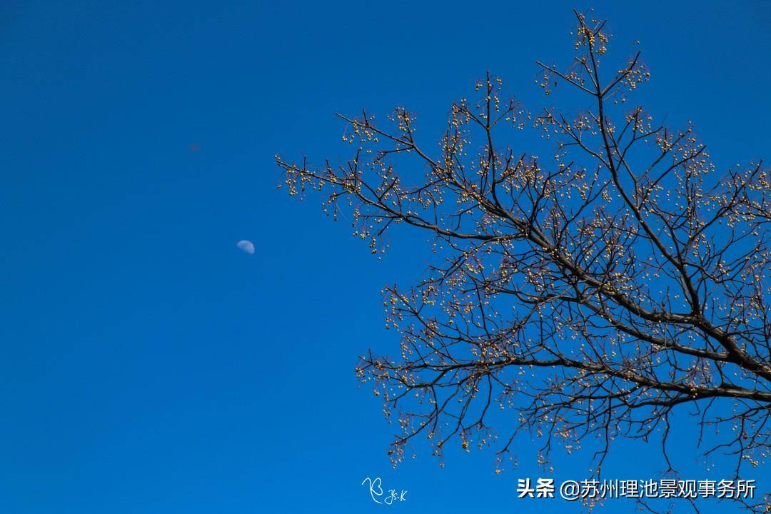 空境什么意思(空镜头必须没有人吗)