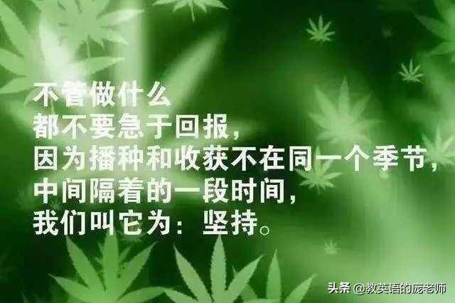 also的位置和用法(also放在情态动词前还是后)