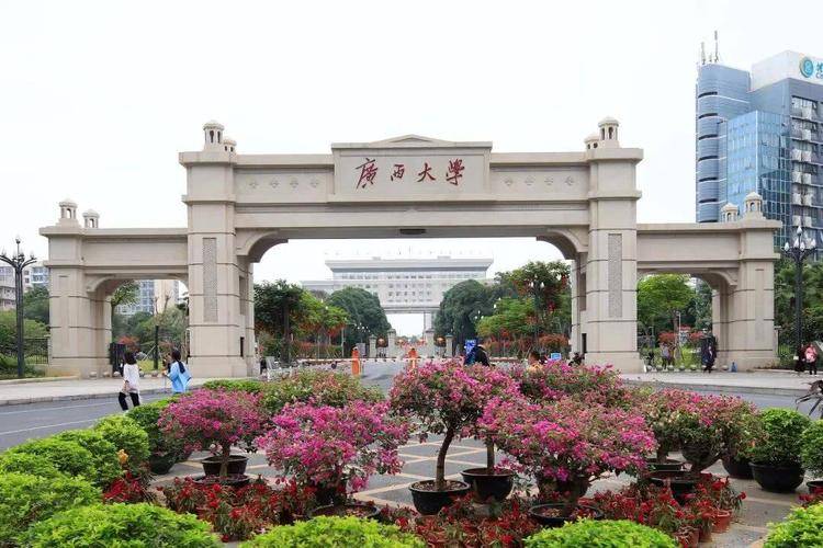 桂林理工大学排名(桂林理工大学什么档次)