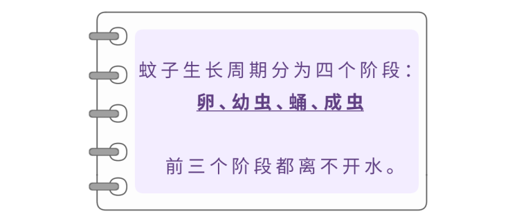 驱蚊子最有效的方法是什么(10个便宜又好用的驱蚊办法)