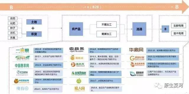 垂直型b2c电商有哪些(农产品电商五种类型)