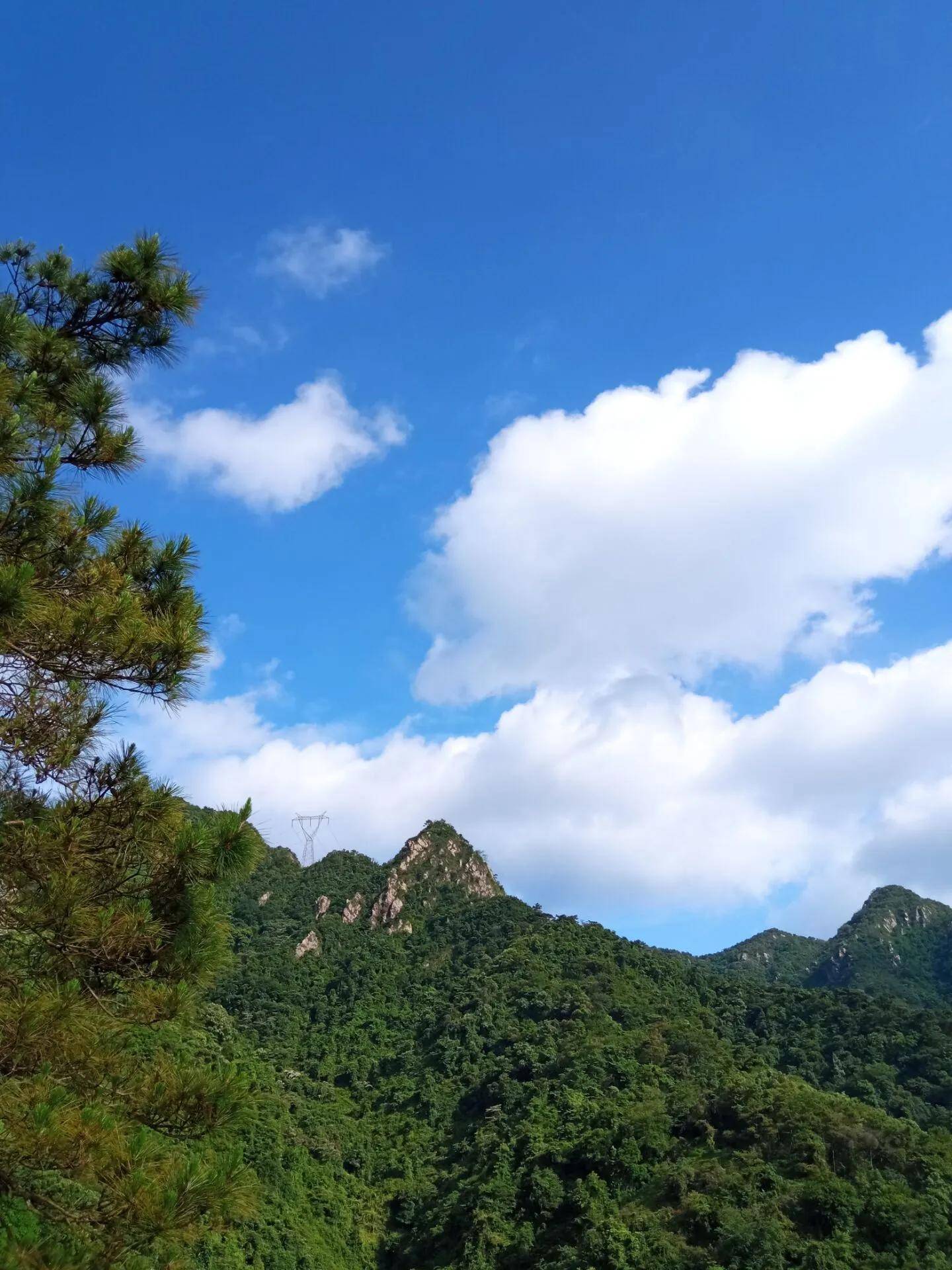 南丹山景区旅游景点介绍(南丹必去十大景点排名)