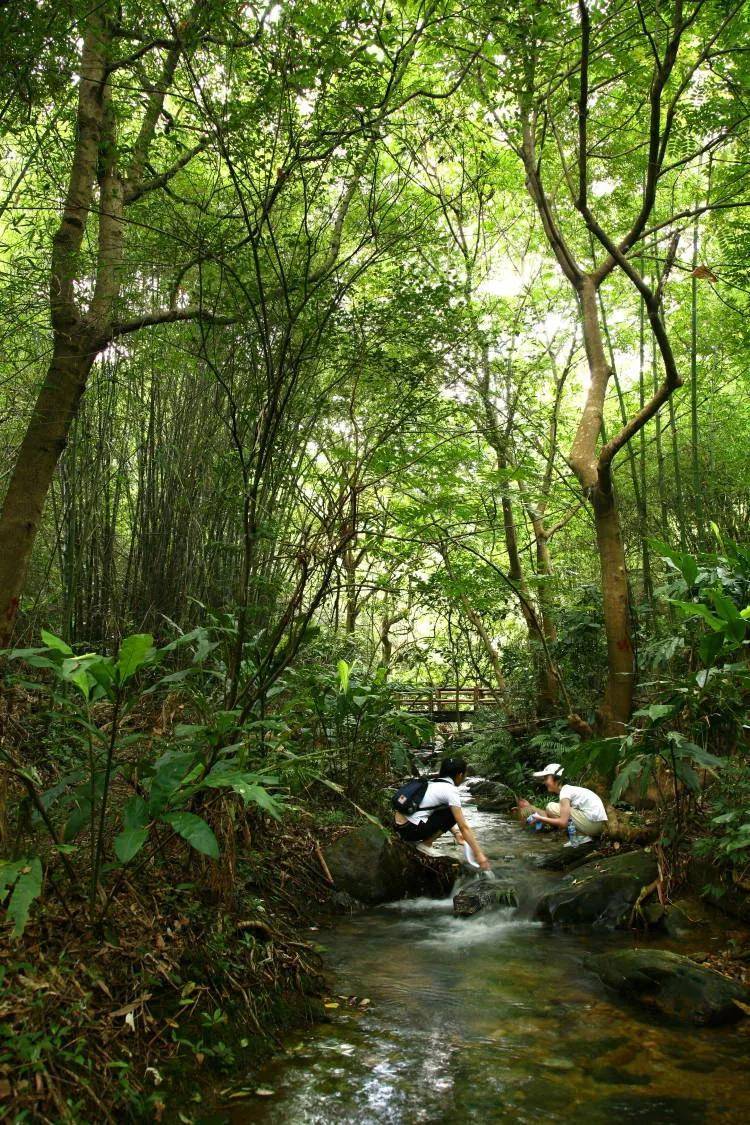 南丹山景区旅游景点介绍(南丹必去十大景点排名)