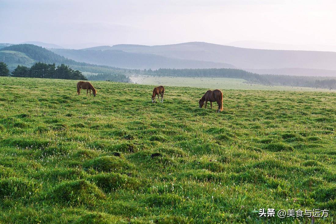 忻州旅游景点大全攻略(山西忻州旅游必打卡的七个地方)