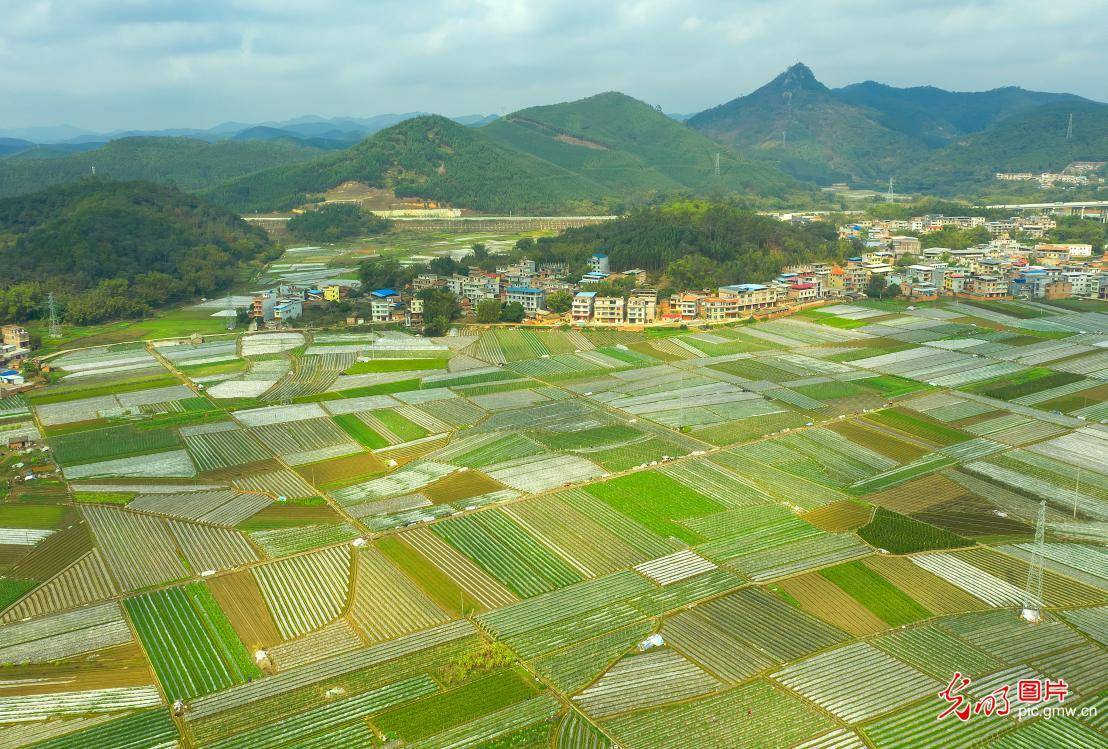 有关田园风光的资料和图片(田园风光有哪些景物)