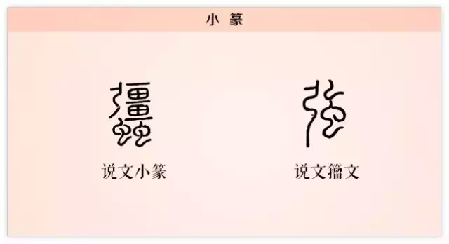 强的多音字组词3个读音(强的多音字并且组词)