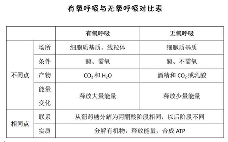 呼吸作用方程式的能量用什么表示(呼吸作用的产物包括能量吗)