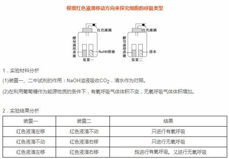 呼吸作用方程式的能量用什么表示(呼吸作用的产物包括能量吗)