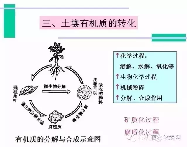 有机质是什么意思(有机质和无机质的区别)