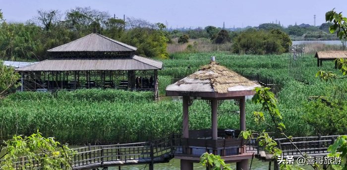 德清是哪个省哪个市的(德清有什么好玩的地方旅游景点)