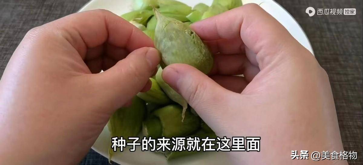 大葱花苞可以吃吗(葱花和大葱是一样的吗)