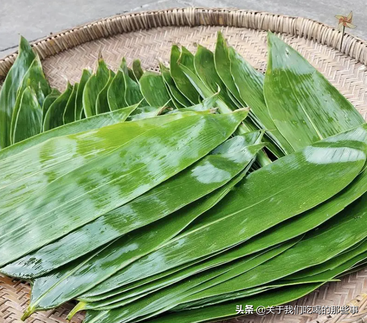 冷水煮粽子需要多长时间(生粽子冷水下锅要煮多久)