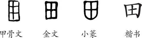 田田的叶子是什么意思(什么是“田田的荷叶”)