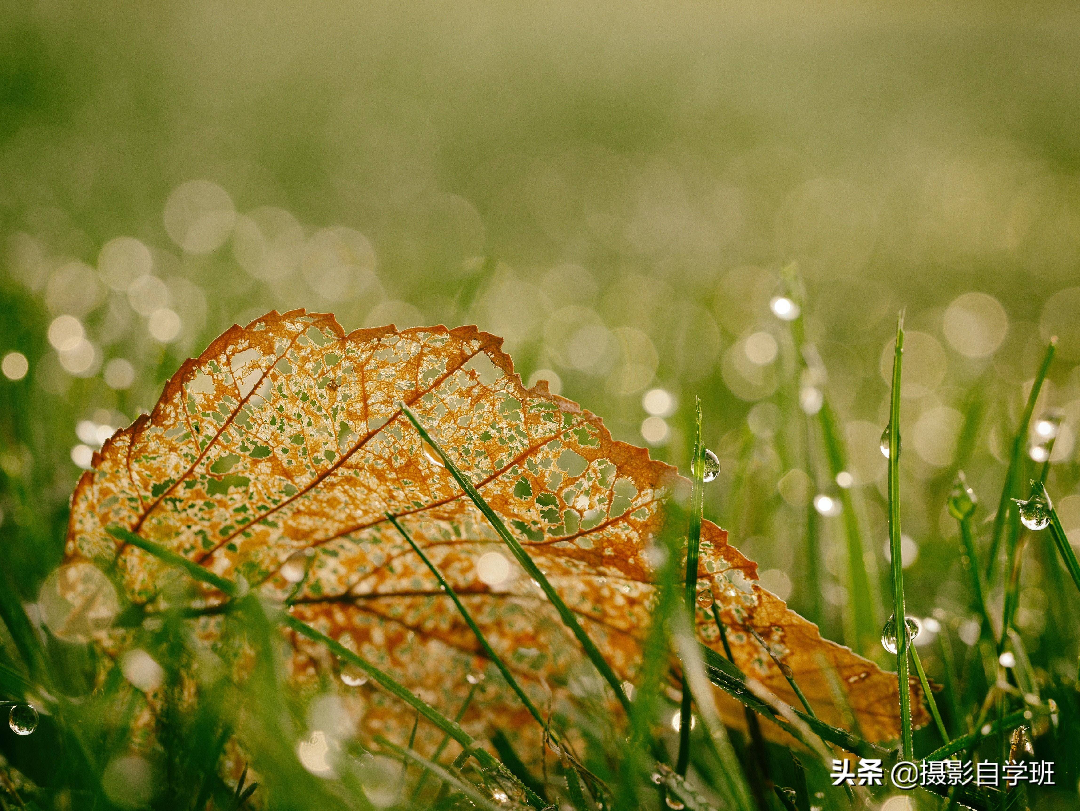 手机照片九宫格怎么弄(九宫格照片用手机咋修出来)