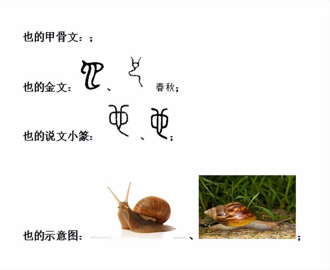 也的偏旁有哪些字(也组词加偏旁组词语)