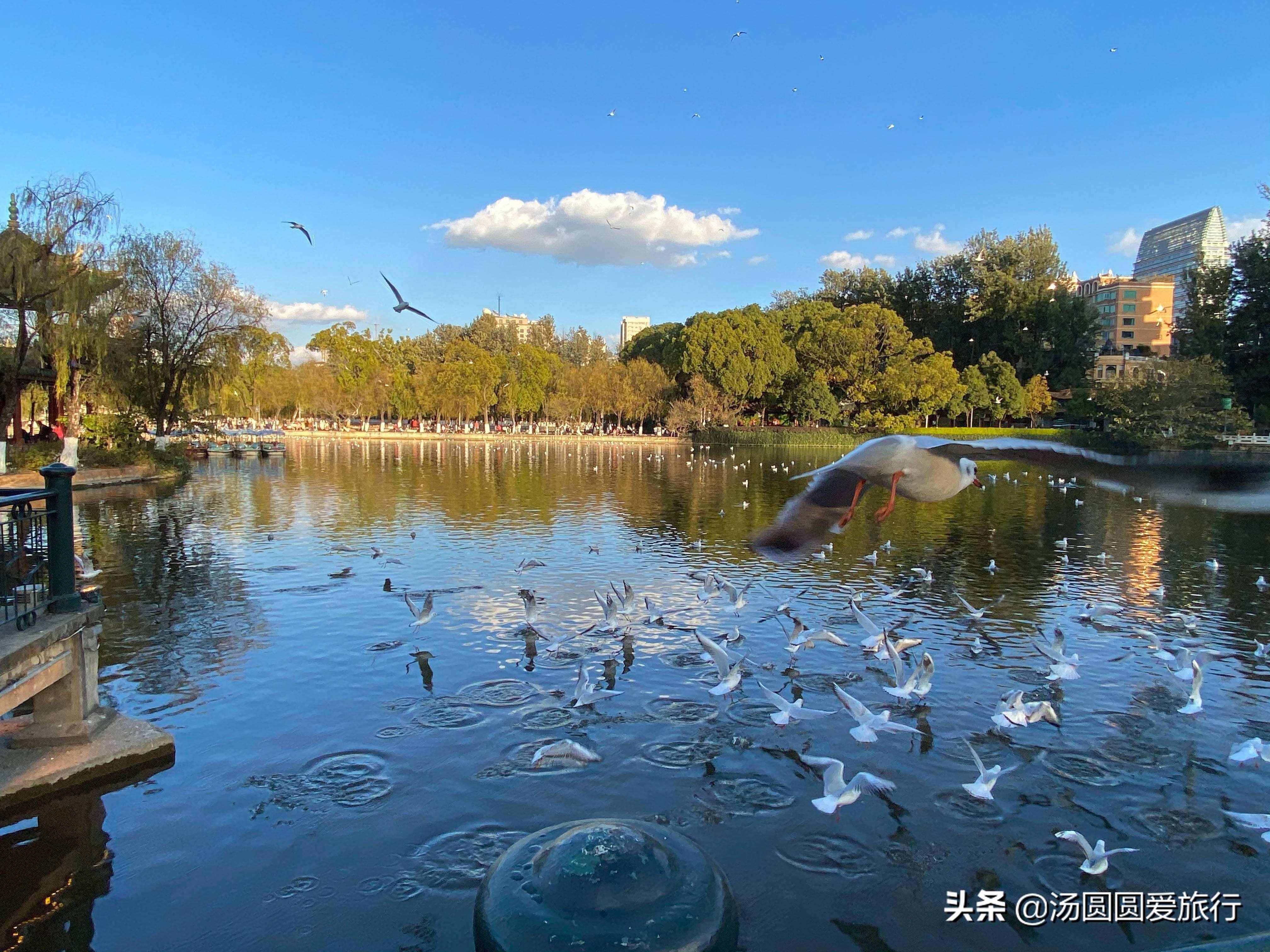 昆明哪个区最繁华(昆明有哪些好玩的旅游景点)