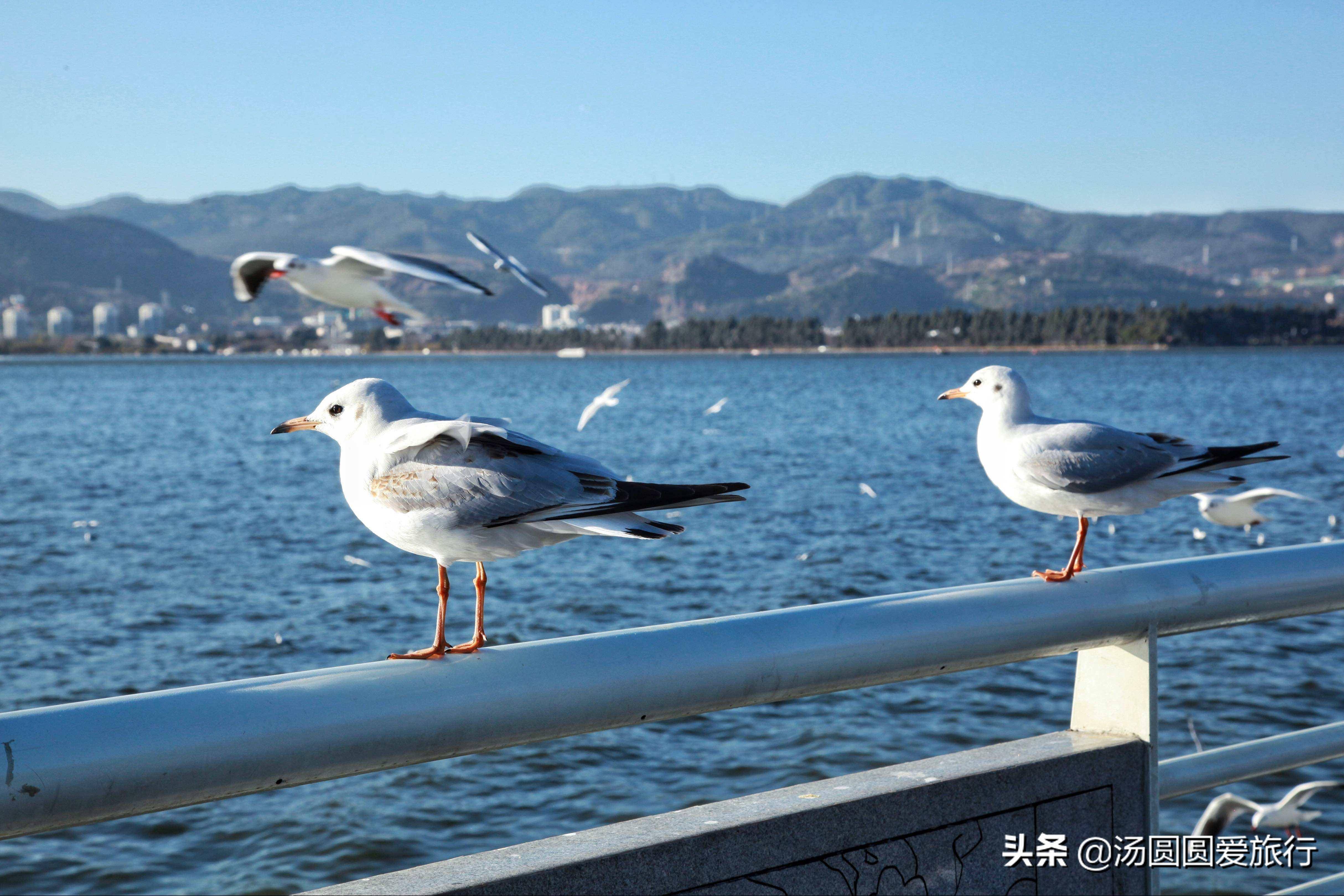 昆明哪个区最繁华(昆明有哪些好玩的旅游景点)