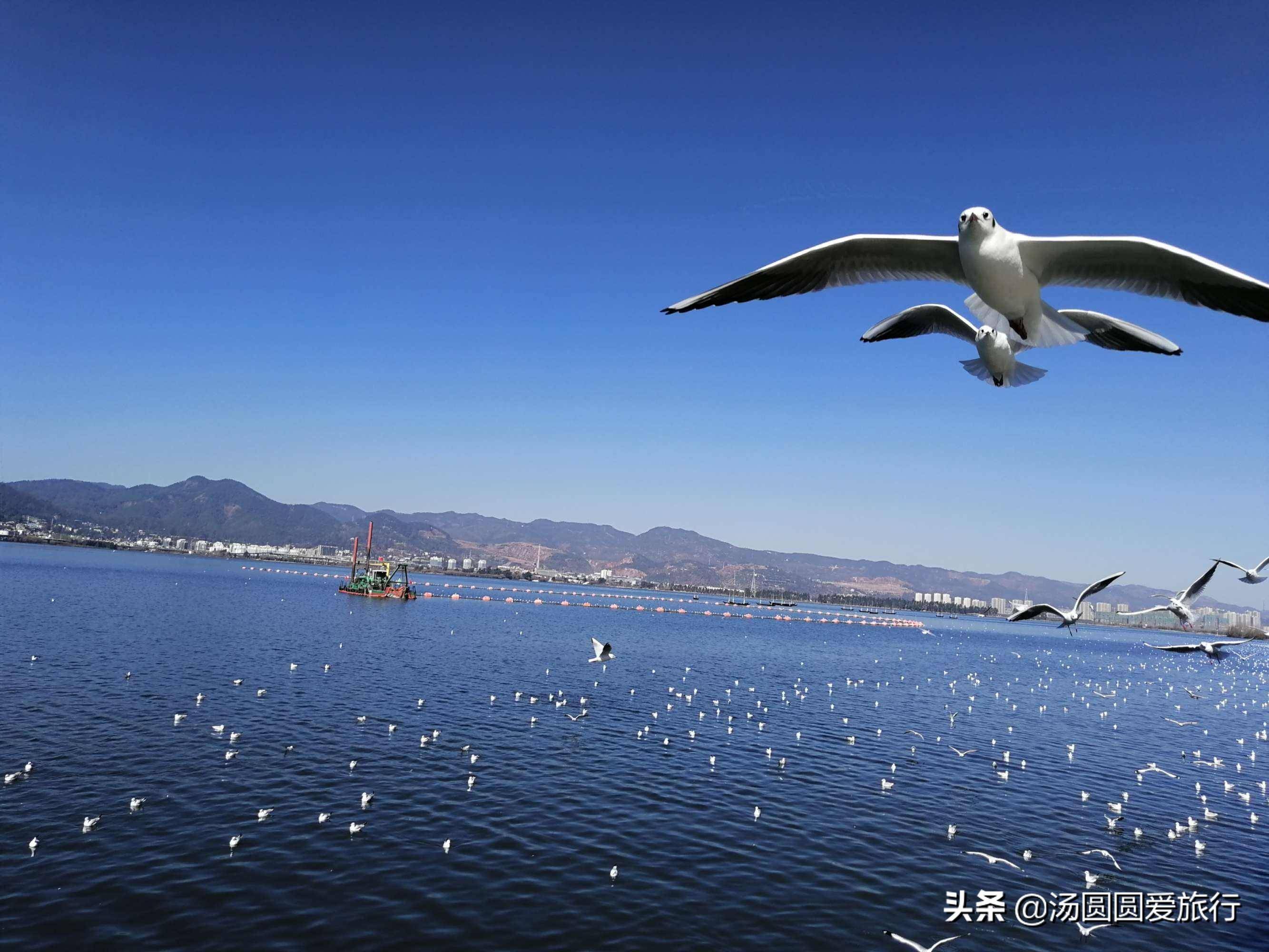 昆明哪个区最繁华(昆明有哪些好玩的旅游景点)