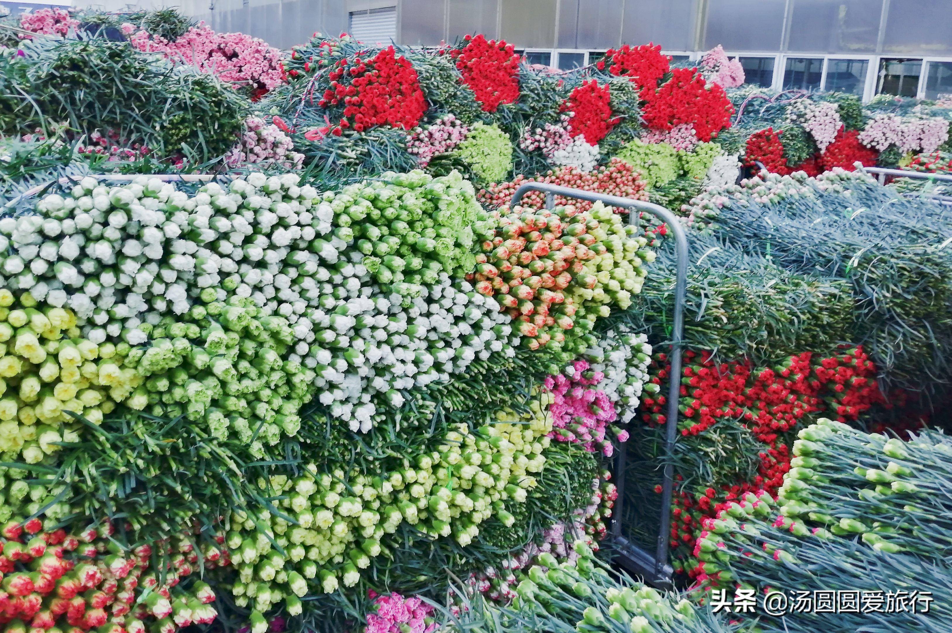 昆明哪个区最繁华(昆明有哪些好玩的旅游景点)