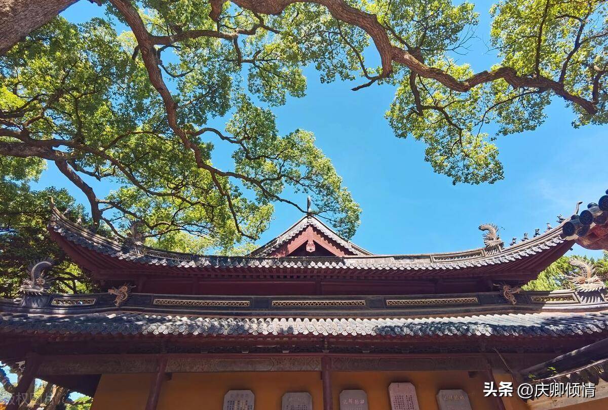 普陀寺在哪个地方(浙江舟山普陀寺攻略)