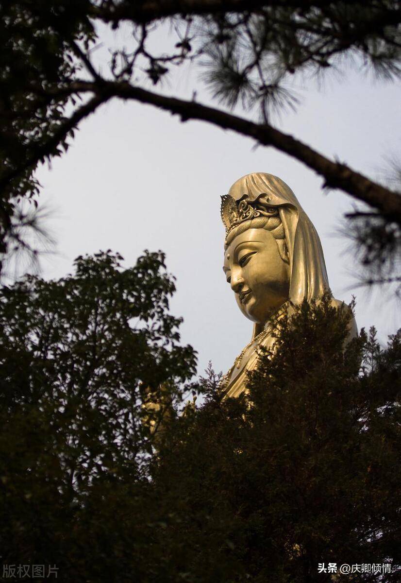 普陀寺在哪个地方(浙江舟山普陀寺攻略)