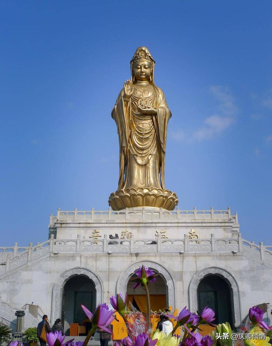 普陀寺在哪个地方(浙江舟山普陀寺攻略)