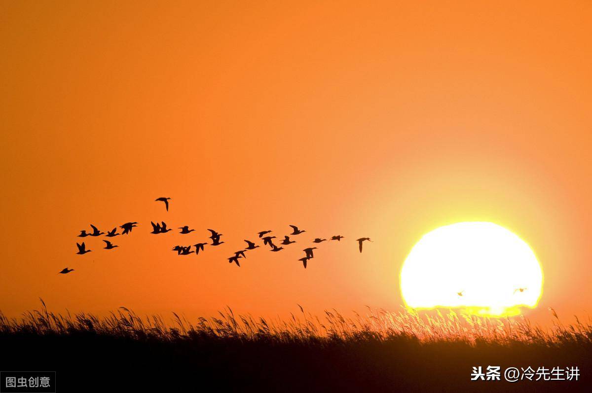 早上的太阳叫什么名字(太阳的众多别称介绍)