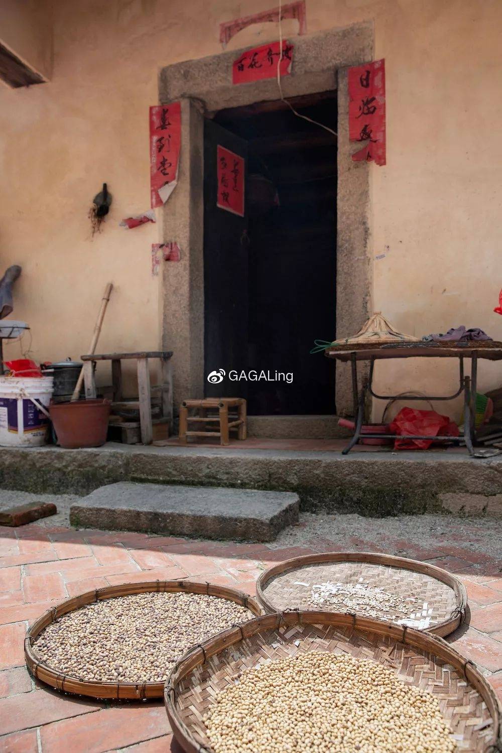 福建土楼哪个最值得去(福建最有名的土楼在哪里)