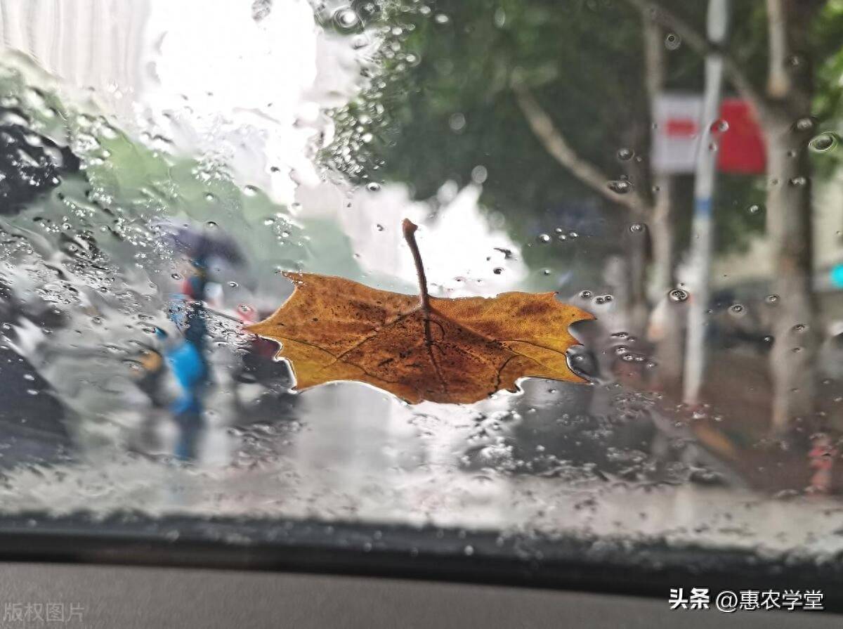 梅雨季节是几月份(2023年入梅出梅是几月几日)