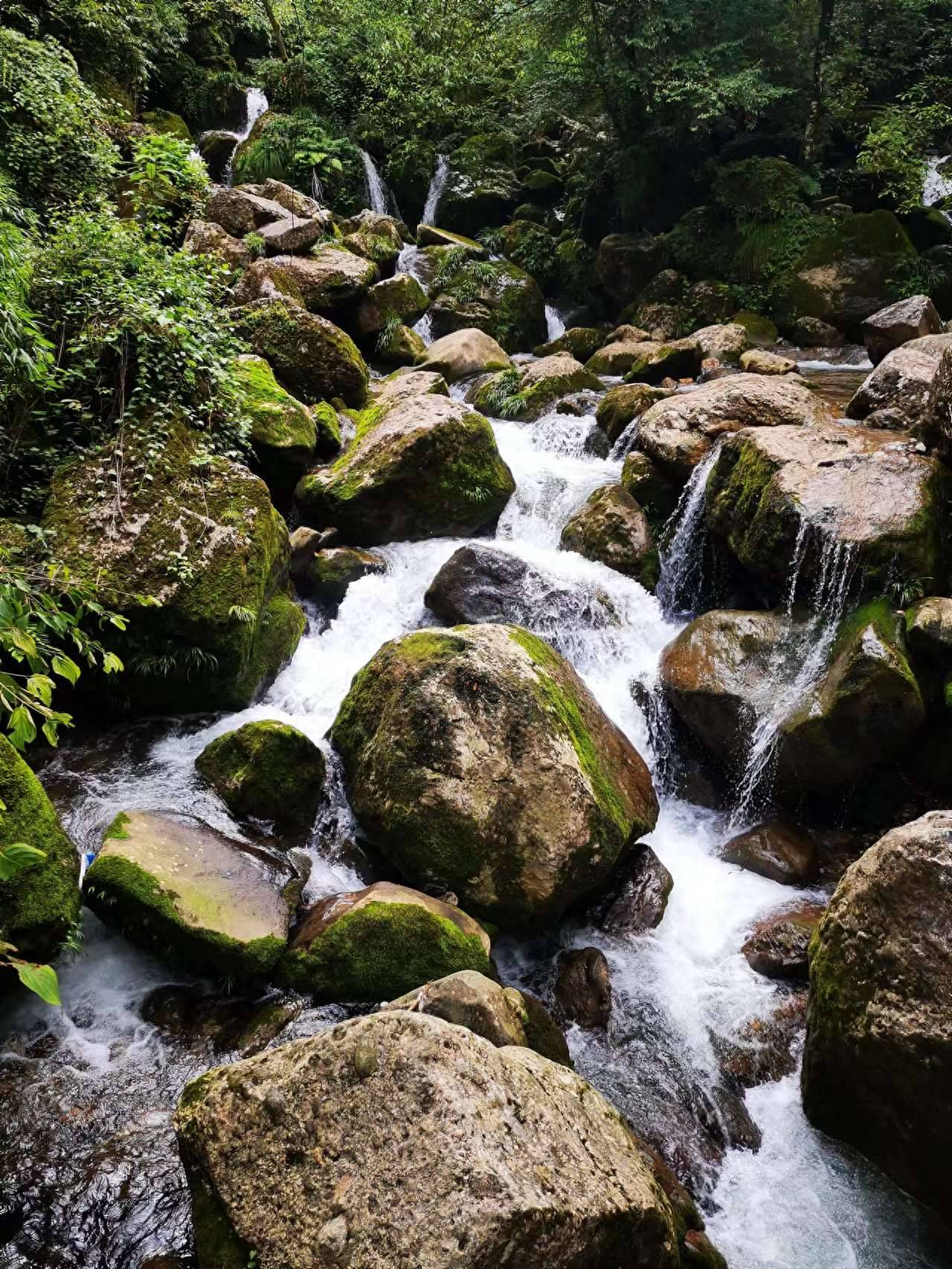 成都到青城山一日游最佳方案(青城山有哪些好玩的地方)